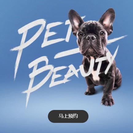 綦江宠物中心小程序开发